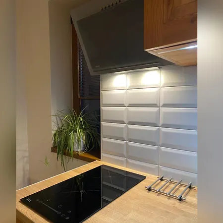 Apartament Nad Potokiem Aneta Burliga *