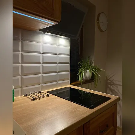 Nad Potokiem Aneta Burliga Apartament Zakopane